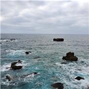 Clases economicas de primaria, asignaturas, lengua, matematicas basicas, conocimiento del medico, etc. Todo de nivel primaria